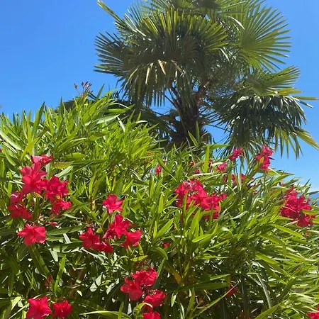 - 150 M To The - Infinity Pool - Incredible Sea View - Fitness Gym فيلة