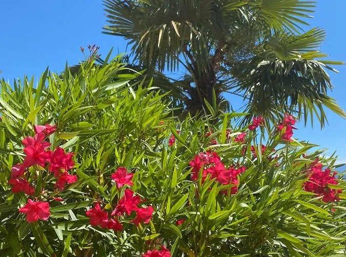 - 150 M To The - Infinity Pool - Incredible Sea View - Fitness Gym Villa